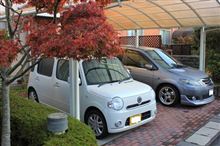 朝からコツコツと・・・！