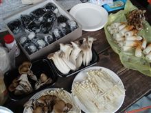 森と湖のそばで天ぷらいただきました♪ 森と湖のそばで天ぷらいただきました♪