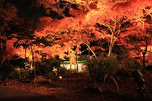 Mt.TSUKUBA in colored leaves &amp;140杯目♪