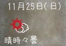 121125-2　女性に対する暴力廃絶のための国際デー･･･