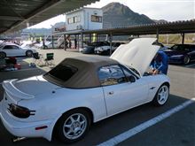どり どり