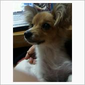 新しい家族ですぅ♡