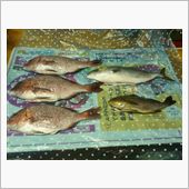 釣果