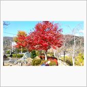 近場で紅葉狩りとお蕎麦・・・ ...