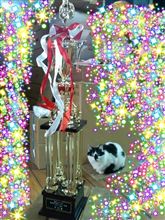 ★トロフィーヽ(^。^)丿★ ★トロフィーヽ(^。^)丿★