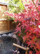 紅葉と温泉