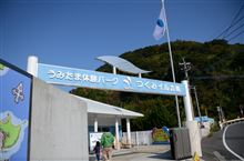 海鮮とイルカ三昧のドライブ♪