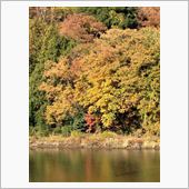 紅葉狩り②