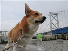 じょに～と男旅。四国～九州編。