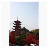 宮島の紅葉