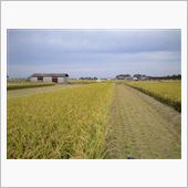 美味しいお米は奈良県産！