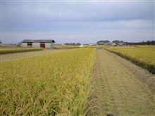 美味しいお米は奈良県産！