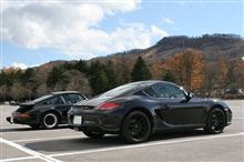 ９１１は順当に進化するとケイマンになるんですね！