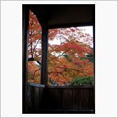 ハンナリコ～ヨ～