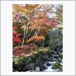 紅葉狩りに・・・もとい！配達に行ってきました(汗)