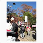 燃えたぎる紅葉