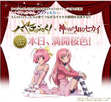 「ハヤテのごとく」＆「神のみぞ知るセカイ」ジョイントライブ開催決定!!