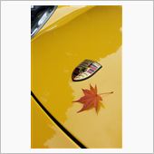 ボクスターと行くAutumn ...