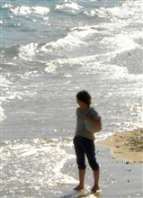 1枚の写真
