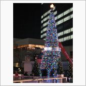 今年もサカス広場にツリーが？