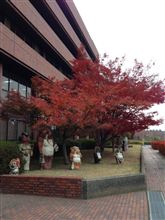 紅葉・・・