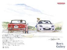 こんばんは　コスモスです(-_-)