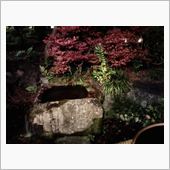 今年１３度目の上洛　③