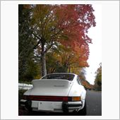 紅葉に想う…