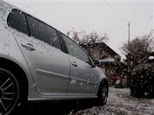 初雪　・・・o(▼_▼θ