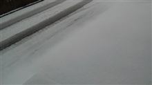 雪さん　キター！！ 20121201