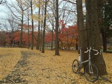 中央線南ポタ 1 武蔵野公園