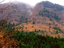 府道54号（園部能勢線)で原山峠へ