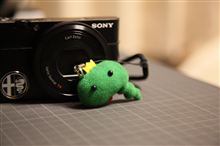 コンデジをカスタマイズ