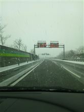 今日は雪の中…
