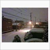 いよいよ.....本格的な雪 ...