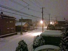 いよいよ.....本格的な雪でしょうか？