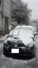 今日から12月です。 今日から12月です。