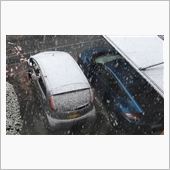 初雪1.5cm