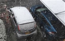 初雪1.5cm