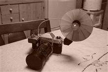 やっぱりCanon？