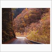 愛知県道４２６号津具大嵐停車 ...