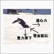 物理の法則