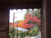 円山公園の紅葉