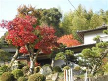 九州ツー四日目！（阿蘇・別府・出会い＾＾）