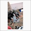 キャリパー解剖中