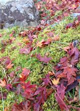 もう12月