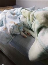 元気なストリート☆
