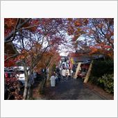 先週の紅葉