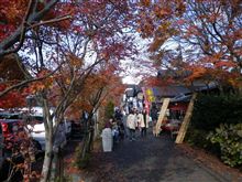 先週の紅葉