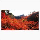 西の紅葉は超有名な京都の東福 ...
